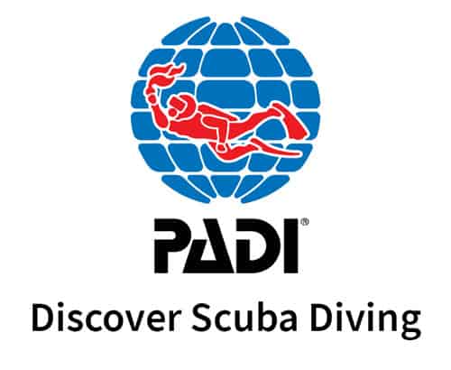 discover scuba diving padi